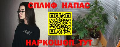 дурь Будённовск