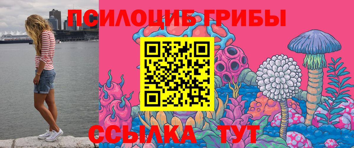 Новый Уренгой  Псилоцибиновые грибы Psilocybine cubensis  Вход с VPN 