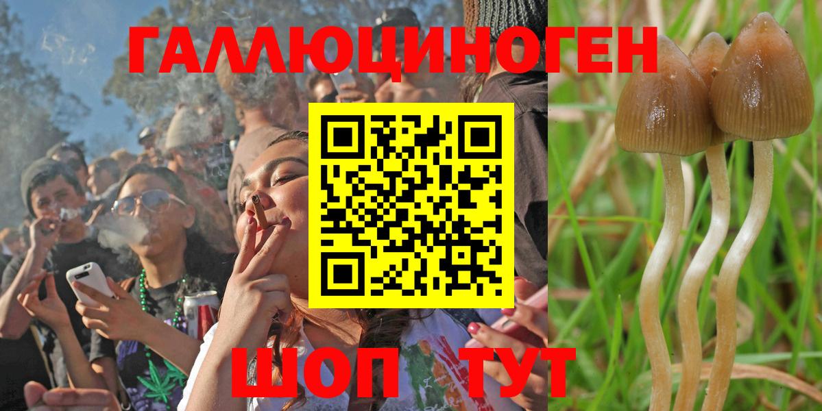 Псилоцибиновые грибы GOLDEN TEACHER Новый Уренгой